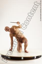 Fighting reference poses of Peter